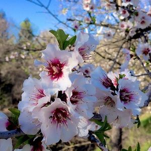 Meet your Posher, Robyn